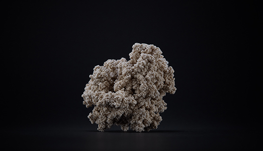 La Forma Mentis dell’arte La Forma Mentis dell’arte